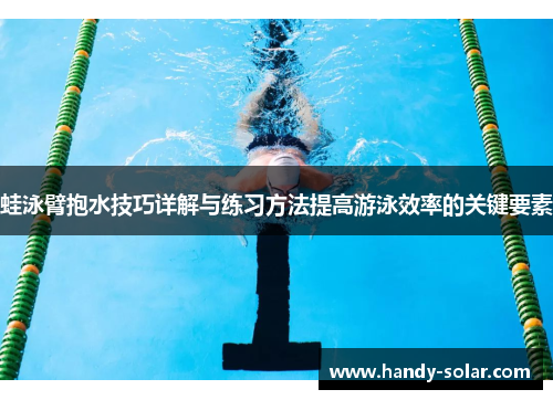蛙泳臂抱水技巧详解与练习方法提高游泳效率的关键要素