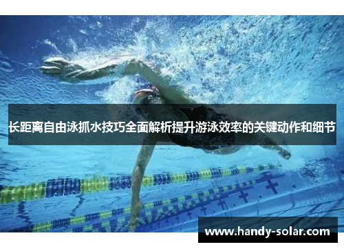 长距离自由泳抓水技巧全面解析提升游泳效率的关键动作和细节